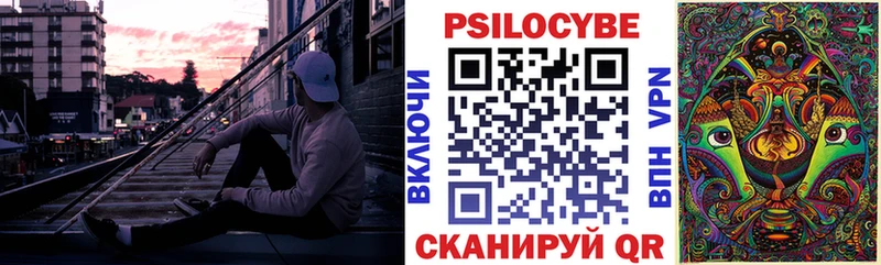 цены наркотик  Карасук  Псилоцибиновые грибы Cubensis 